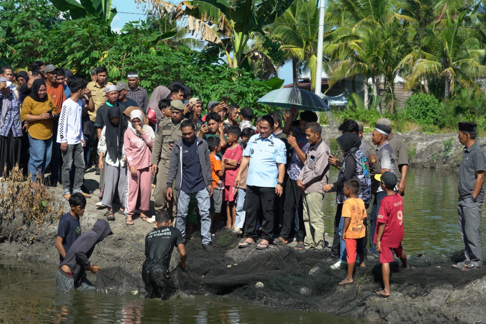 Panen Perdana 6 Ton Ikan Nila, Bupati Irwan Apresiasi Keberhasilan BUMDes Mabonta